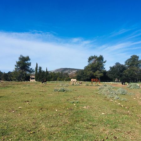 Centre Mediation Equine La Daouste Villa Jouques Екстериор снимка