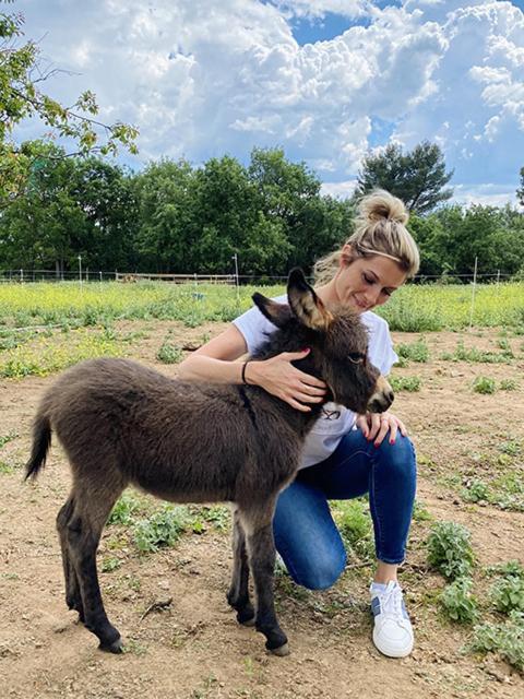 Centre Mediation Equine La Daouste Villa Jouques Екстериор снимка