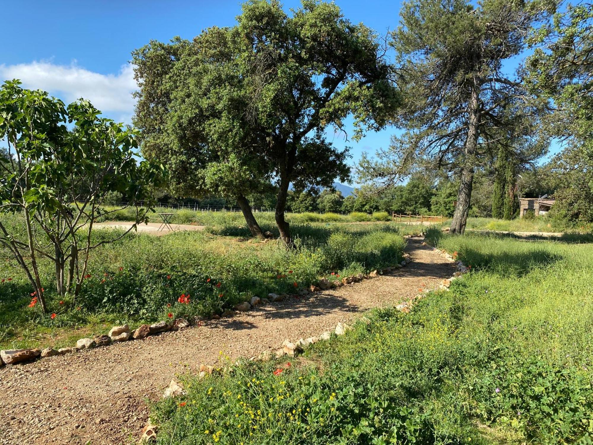 Centre Mediation Equine La Daouste Villa Jouques Екстериор снимка