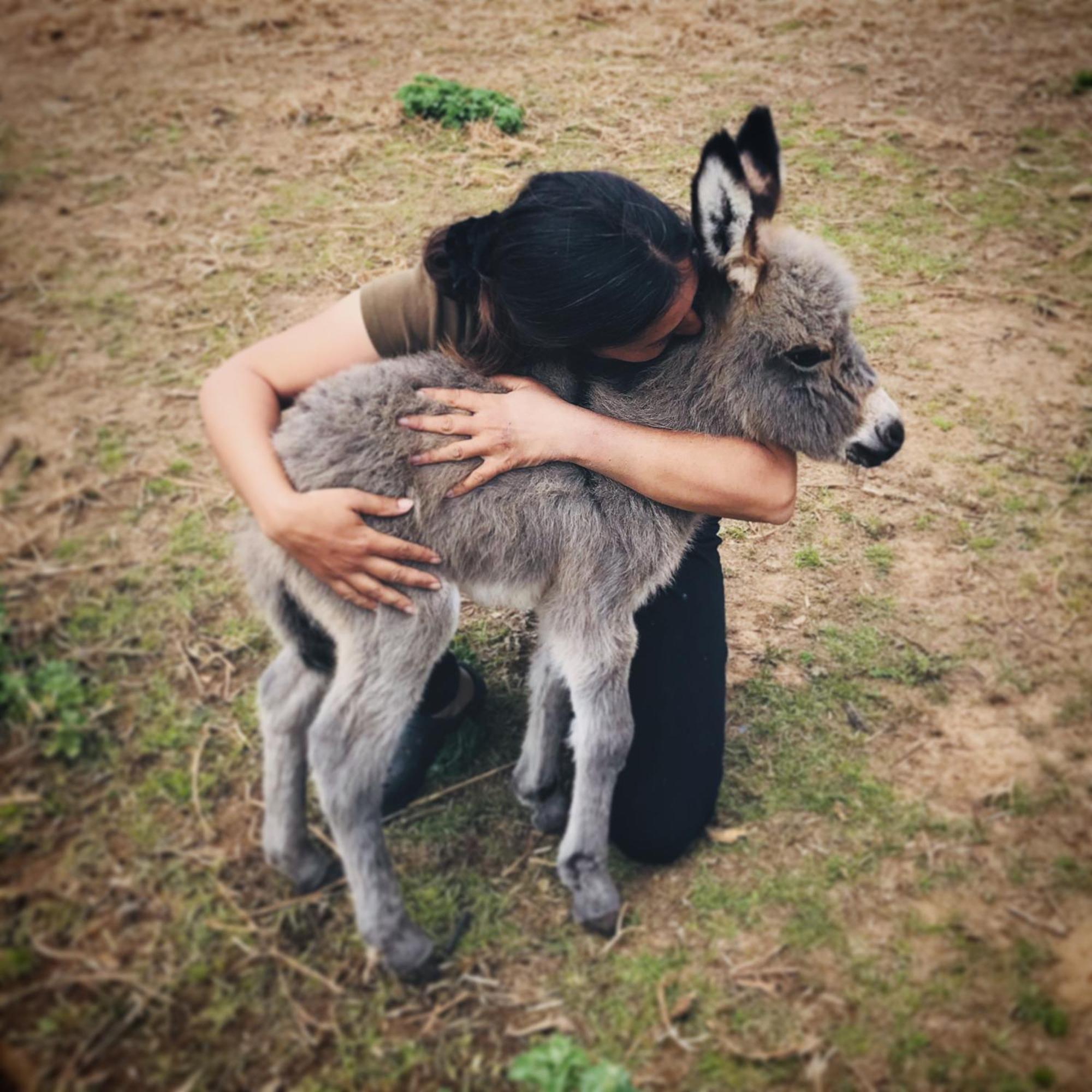 Centre Mediation Equine La Daouste Villa Jouques Екстериор снимка