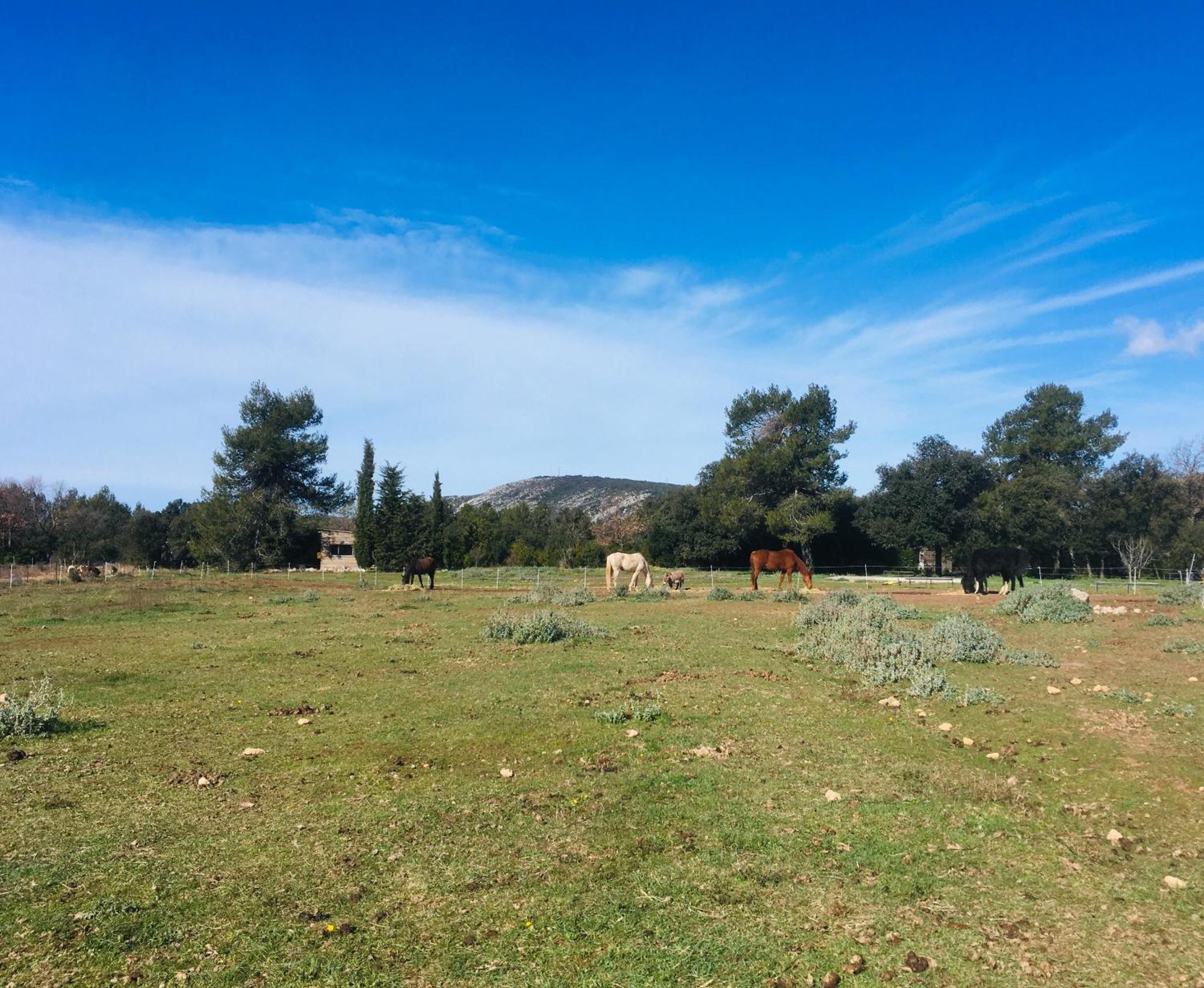 Centre Mediation Equine La Daouste Villa Jouques Екстериор снимка